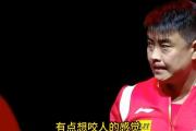 开云体育官方网站-比利时乒乓球队碾压中国乒乓球队,王皓制霸全场的简单介绍