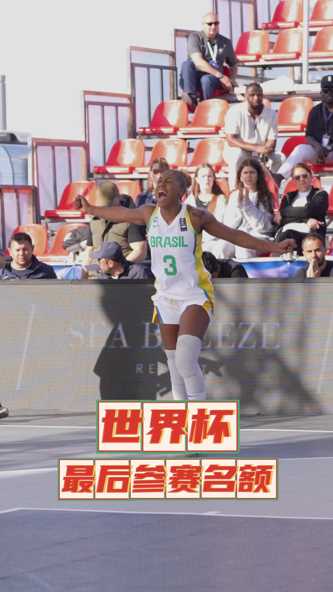 巴西女足在南美锦标赛中成功卫冕冠军