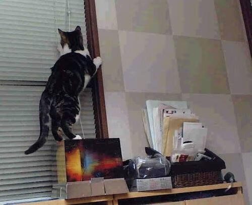 罗马强压,当战术巨兽碾碎天赋,厄德高数据爆炸奏响现代足球狂想曲