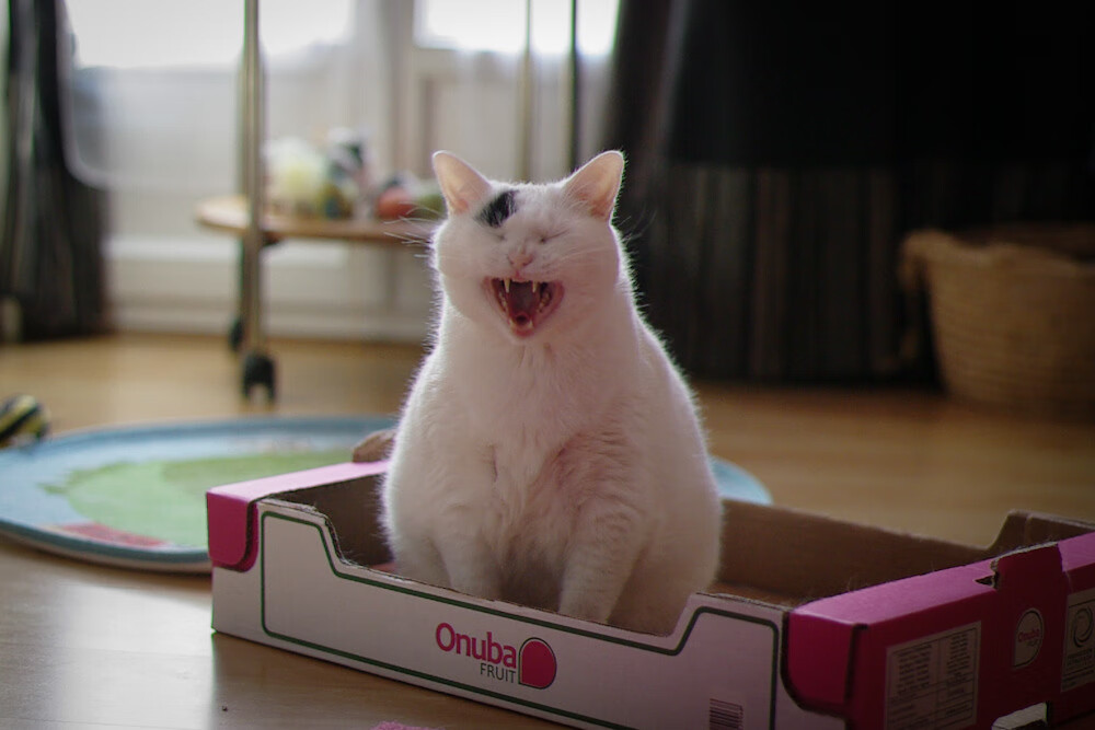 曼联闪电战撬动伯纳乌,维尼修斯如何成为未来版图上的关键先生?