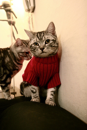 德布劳内爆发引领南非鏖战多特蒙德，友谊赛燃爆约翰内斯堡