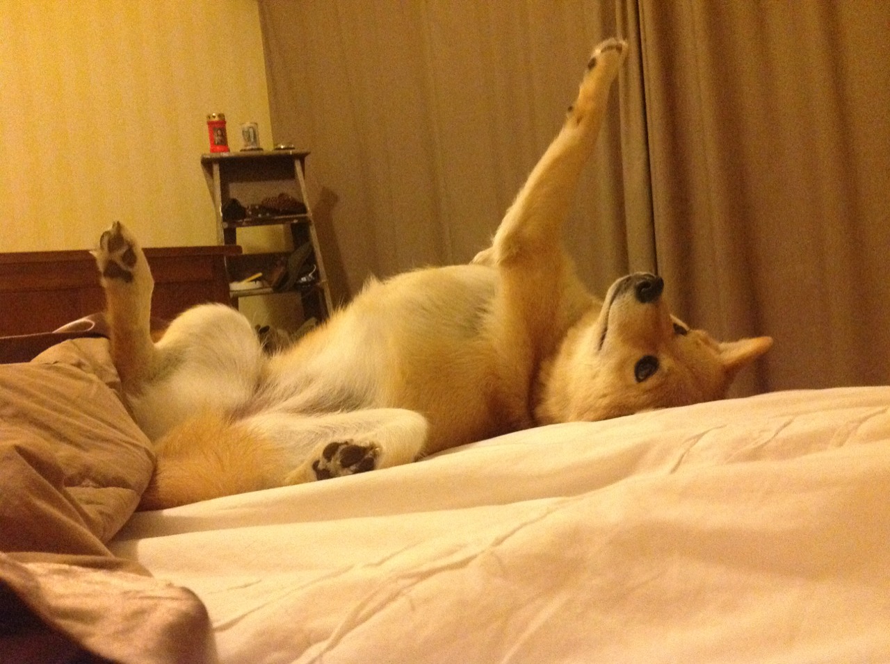 世界排名争夺战之夜，若日尼奥的压制级表演改写格局