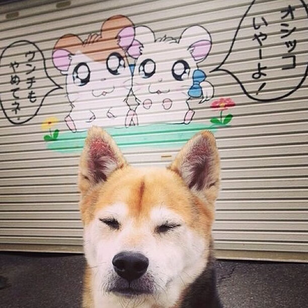 欧联之夜，塞维利亚再显霸主本色击溃曼联，久保建英于宏大舞台印证成长定律