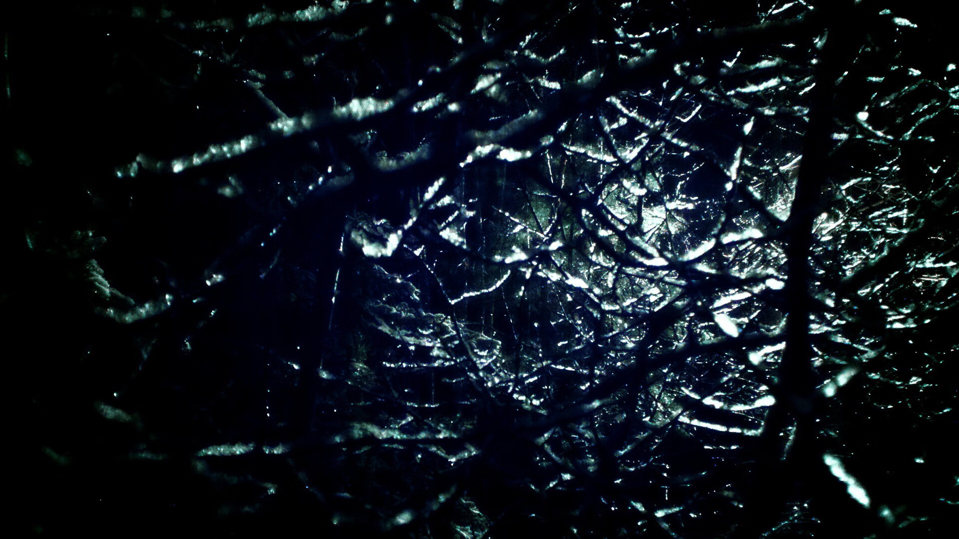 小贾伦轰出40分 凿穿掘金内线 开拓者主场力克卫冕冠军