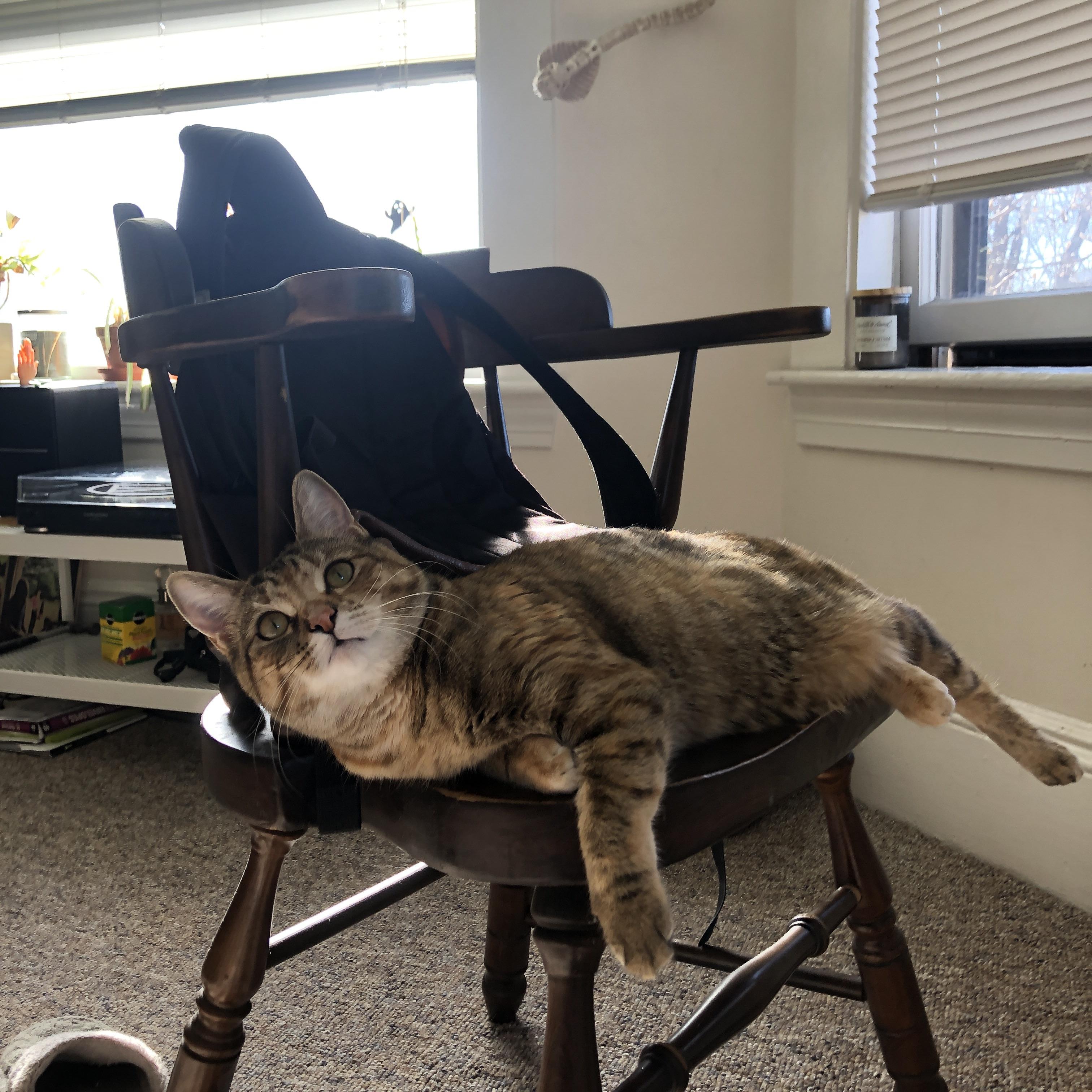 马丁内利之夜,一粒进球改写联赛历史,这位巴西天才如何统治了德甲争冠战?