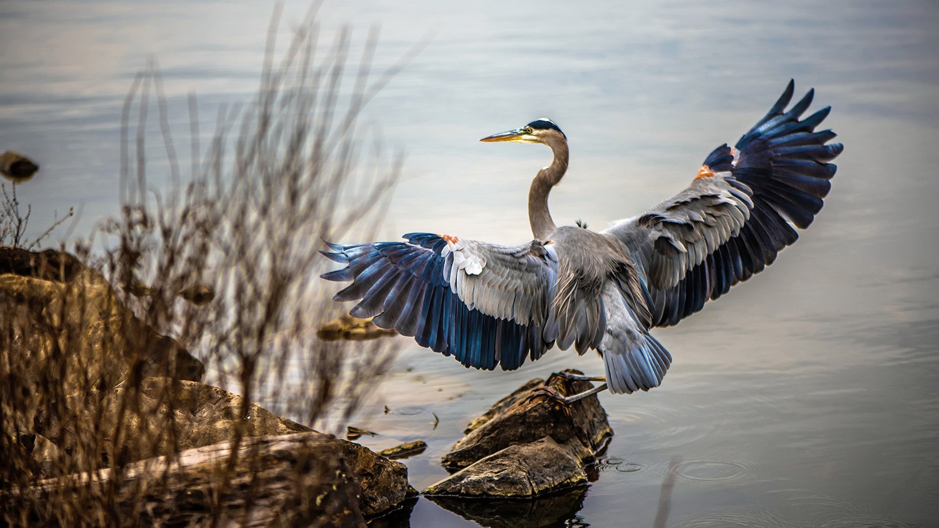 数据全面爆炸!法比尼奥率南非力克韩国