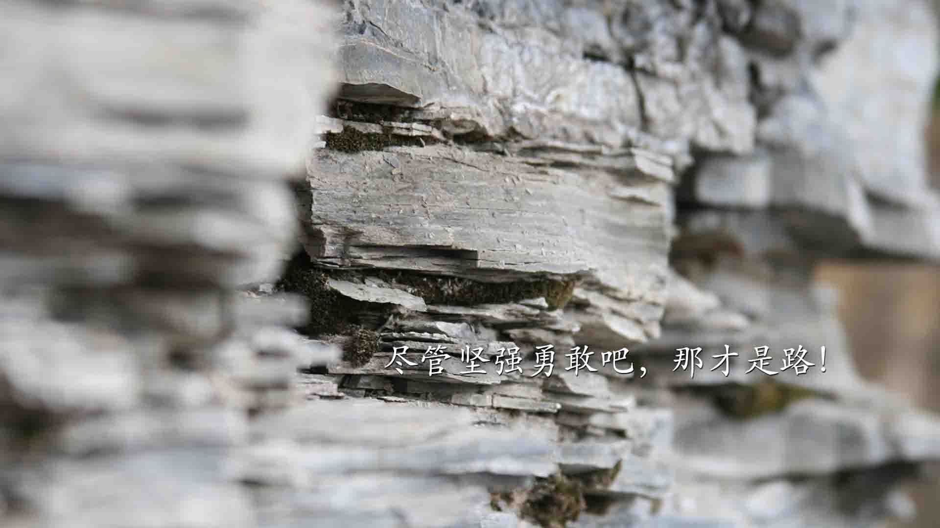 双线焦点,英超争冠悬念与CBA晋京之战的激情碰撞